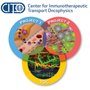 Center for Immunotherapeutic Transport Oncophysics